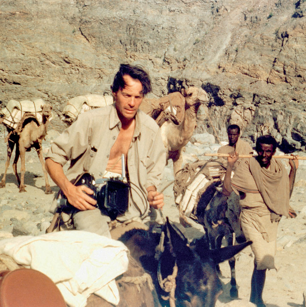 The Last Action Hero