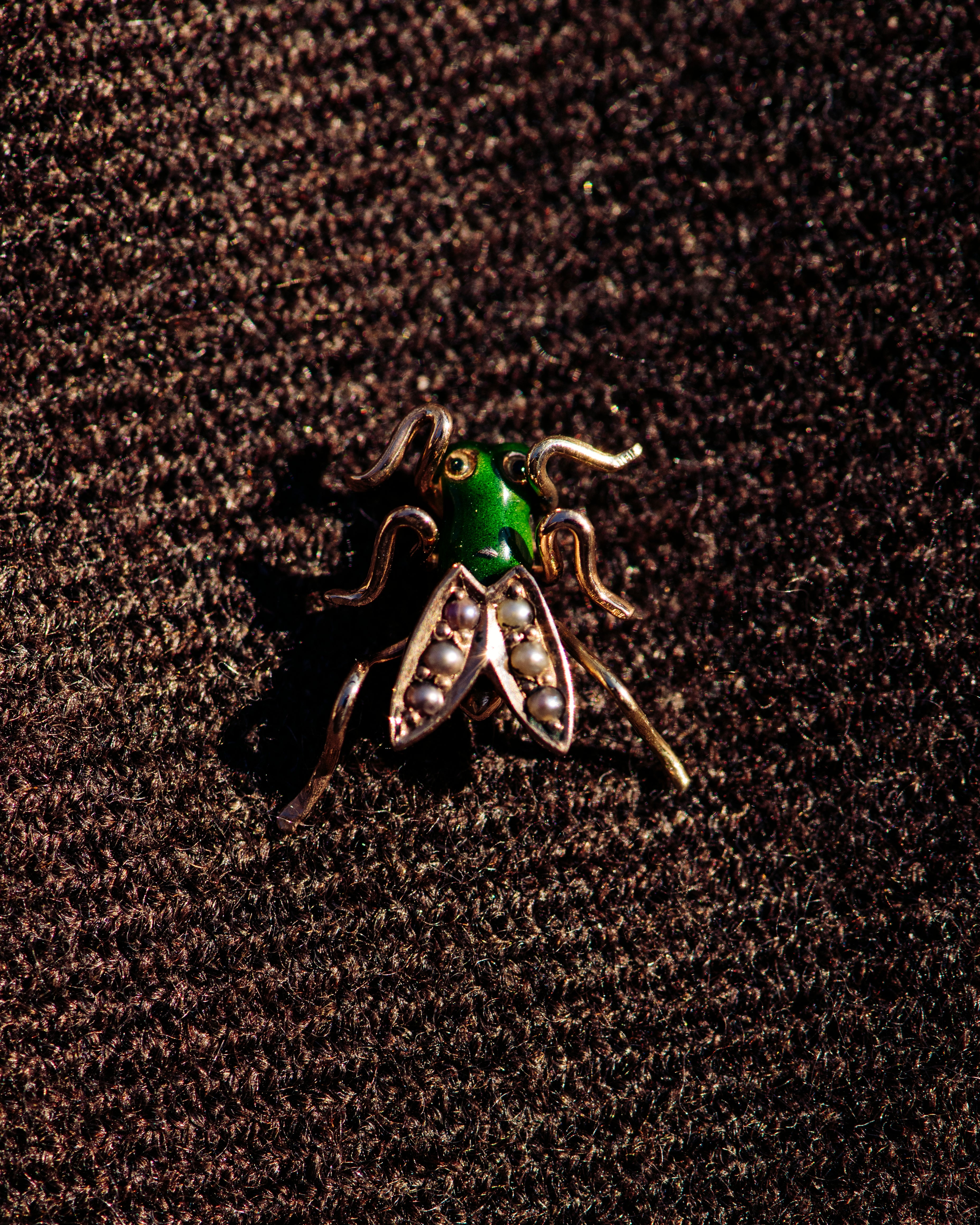 Green Enamel and Pearl Winged Insect Stick Pin